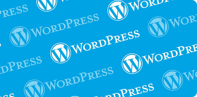 WordPress-Agentur